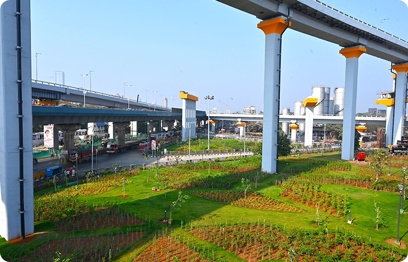 plantation-landscaping-mthl-1lakh-tree-plantation2