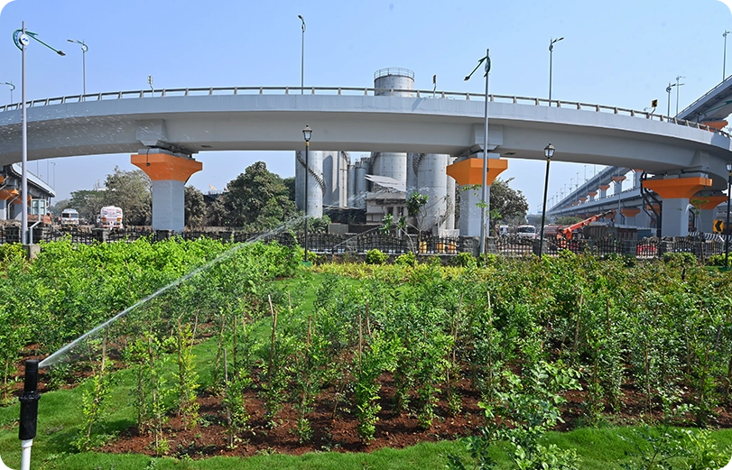 plantation-landscaping-mthl-1lakh-tree-plantation3